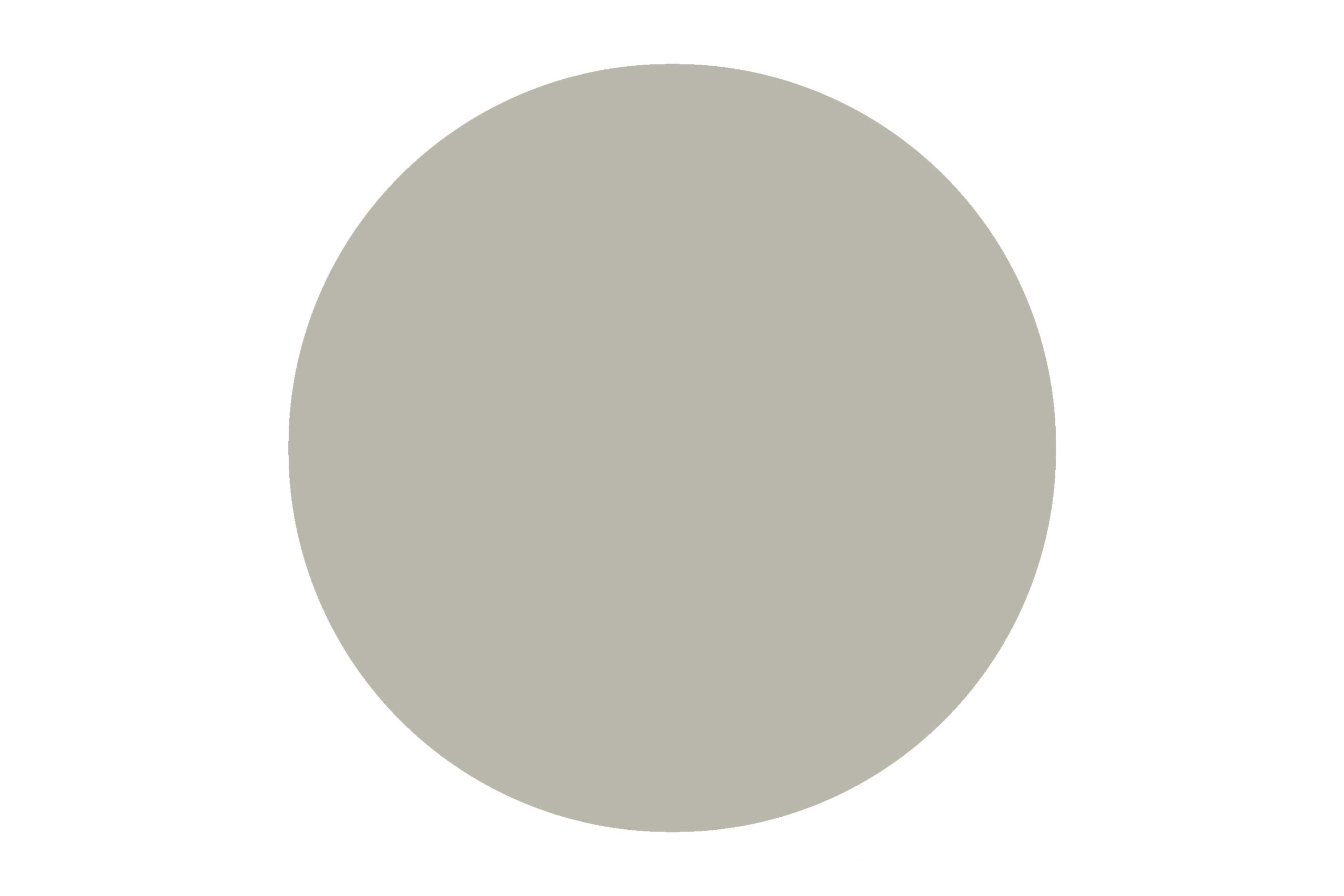 WEX Absolute 290ml Sealant – Slate Grey